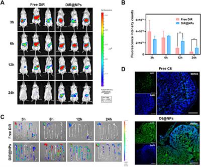 Colon-specific delivery of isoliquiritigenin by oral edible zein/caseate nanocomplex for ulcerative colitis treatment